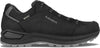 Renegade Evo GTX Low wandelschoenen