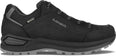 Renegade Evo GTX Low wandelschoenen