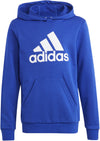 Big Logo Essentials Katoenen hoodie