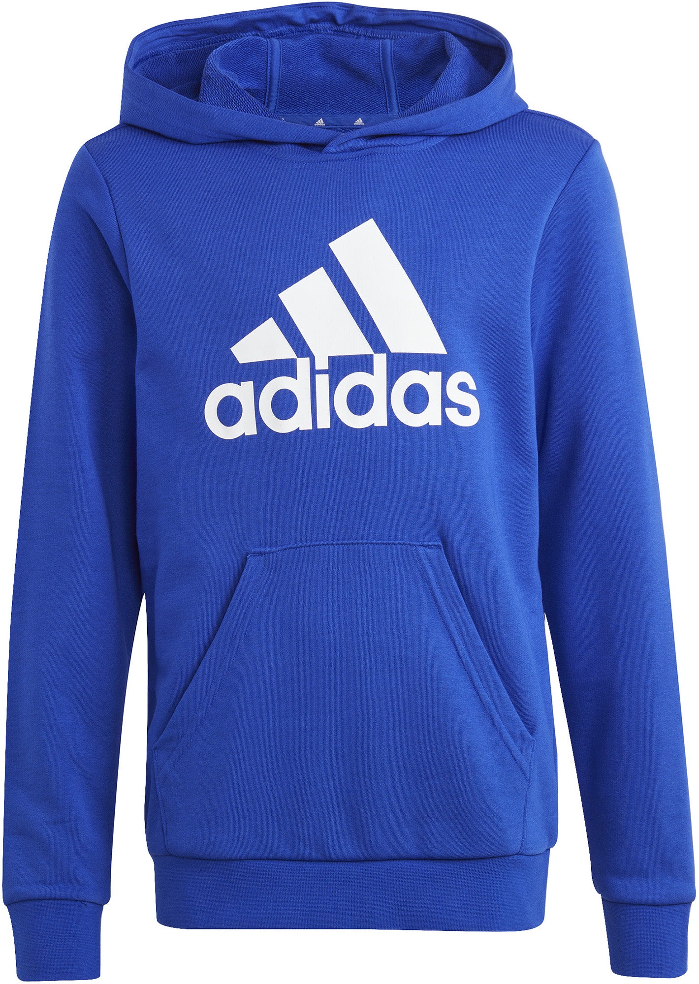 Big Logo Essentials Katoenen hoodie