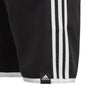 Yb 3s Shorts