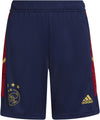 Ajax Tr Sho Y
