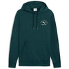 puma class graphic hoodie fl