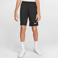 Dri-FIT Park III kids short