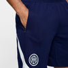 Inter M Nk Df Strk Short Kz