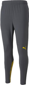 bvb training pants