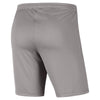 NIKE DRI-FIT PARK III BIG KIDS