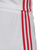 Ajax thuisshort 2019-2020