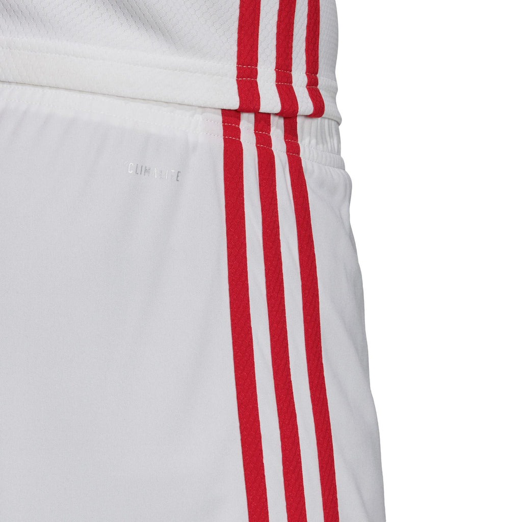 Ajax thuisshort 2019-2020