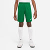 NIKE DRI-FIT PARK III BIG KIDS
