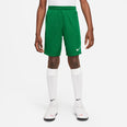 NIKE DRI-FIT PARK III BIG KIDS