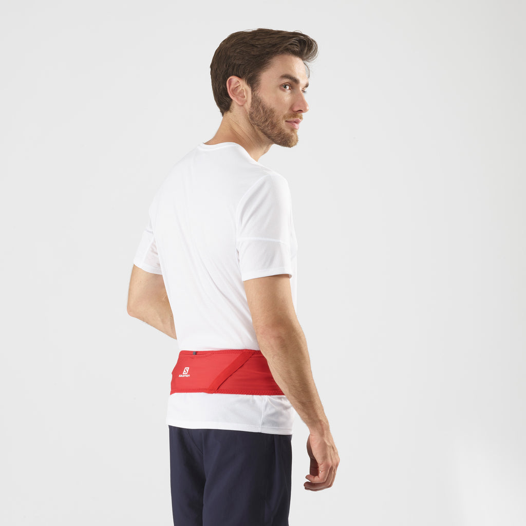 Pulse belt