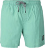 Hester Men Swim Shorts