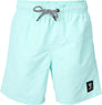 Hestey Boys Swim Shorts