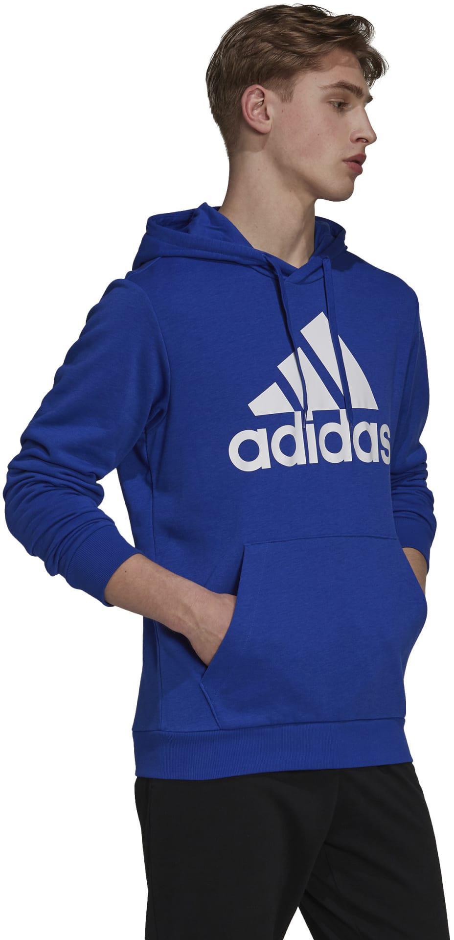 Essentials Big Logo Hoodie