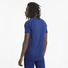 Evostripe Tee