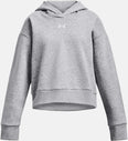 Rival Fleece Crop hoodie