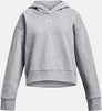 Rival Fleece Crop hoodie
