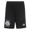 Ajax 3rd Sho Y