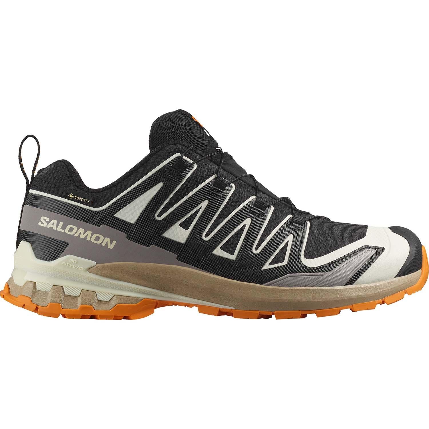 xa pro 3d v9 gore-tex