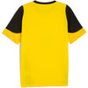 Bvb Training Jersey