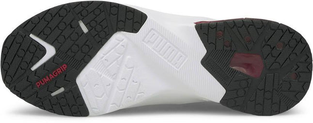 Lvl-up Xt Wn's