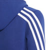 Future Icons 3-Stripes ritshoodie