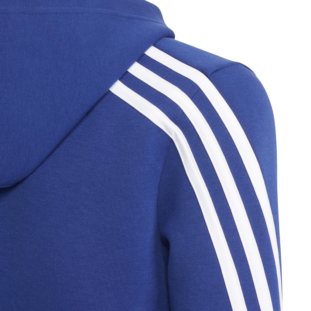 Future Icons 3-Stripes ritshoodie