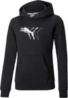 Puma Power Graphic Hoodie