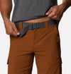 Silver Ridge II Cargo Short
