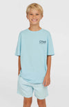Oneill Vert 14 Swimshorts