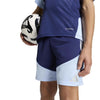 Ajax Amsterdam 26/27 Tiro26 Training Shorts
