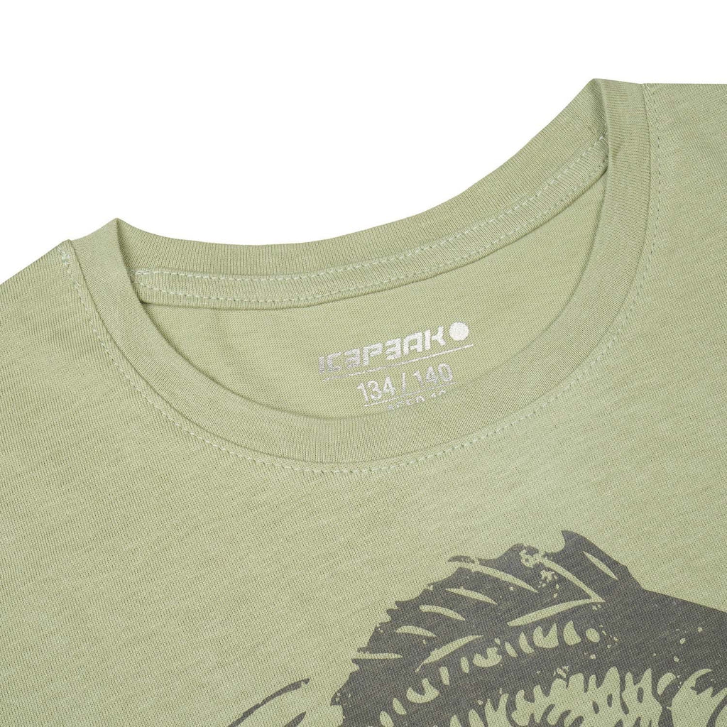 Leadville T-shirt outdoor