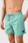 Hester Men Swim Shorts