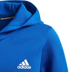 3-Stripes Doubleknit Ritshoodie