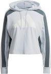 W TS BIG LOGODa. Jogger mit Kapuze