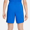 Dri-FIT Academy 23 short
