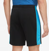 Dri-FIT Academy Soccer short