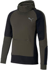 evostripe hoodie
