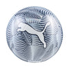 Final Graphic Voetbal