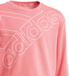 Essentials Logo Sweatshirt