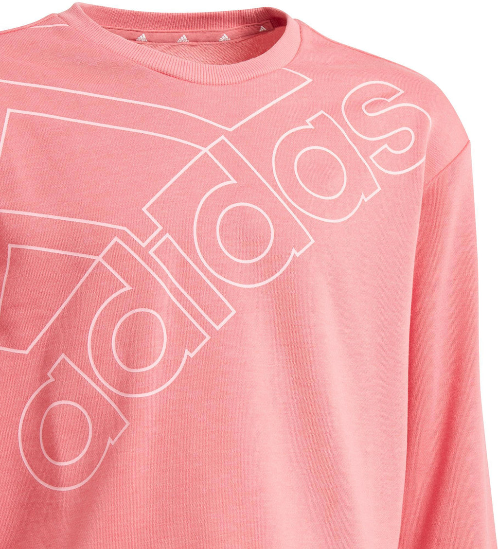 Essentials Logo Sweatshirt