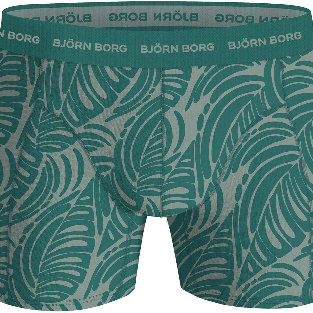cotton stretch boxer 3p