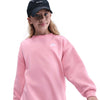 Sportswear Club Fleece Big Kid Sweater