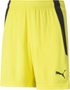 teamLIGA Shorts Short 100%PES