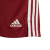 Arsenal 20/21 Uitshort