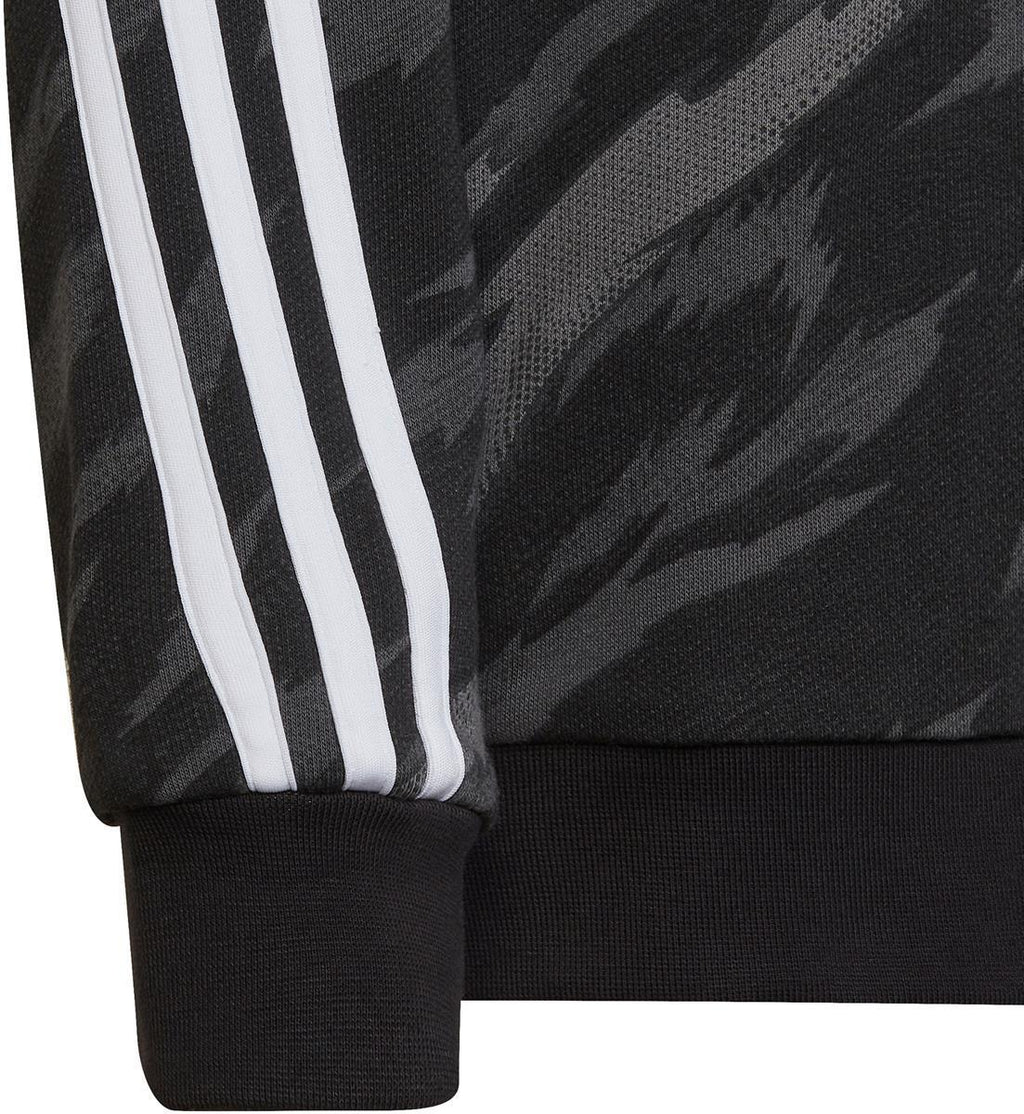 Future Icons 3-Stripes Graphic Hooded sweater