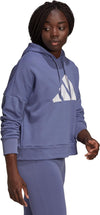 Sportswear Future Icons hoodie
