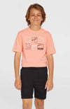 Oneill Cargo Shorts