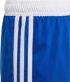 Yb 3s Shorts